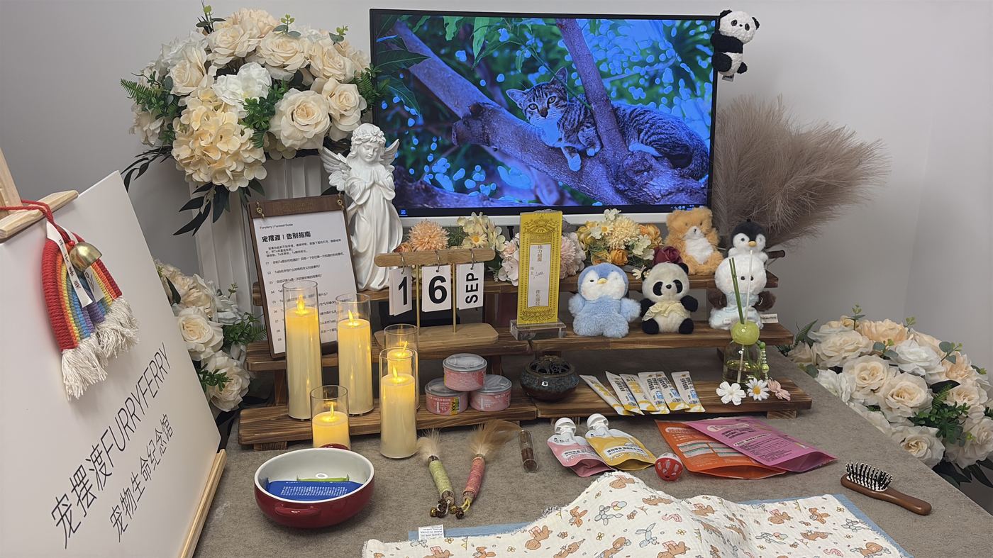 宠物纪念品怎么选？盐城常见纪念方式盘点